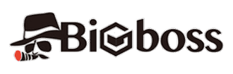 BigBoss